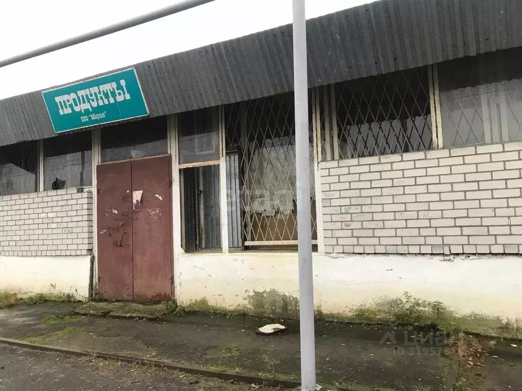 Торговая площадь в Нижегородская область, Выкса Школьная ул., 60 (200 ... - Фото 0