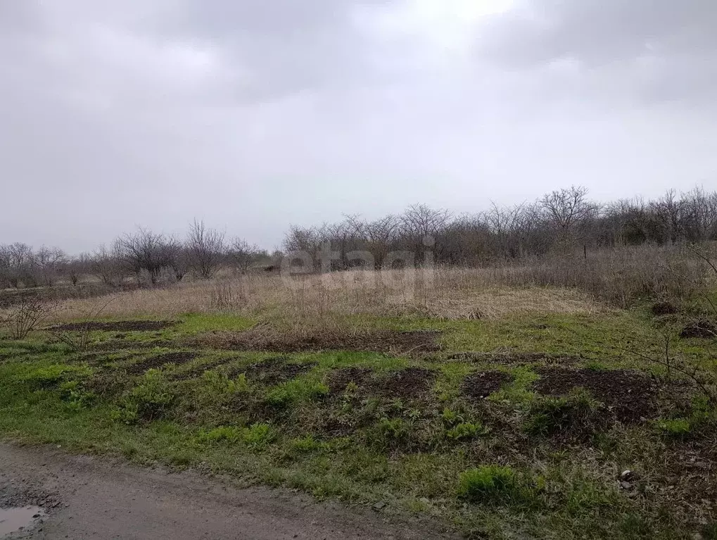 Участок в Белгородская область, Корочанский муниципальный округ, ... - Фото 1