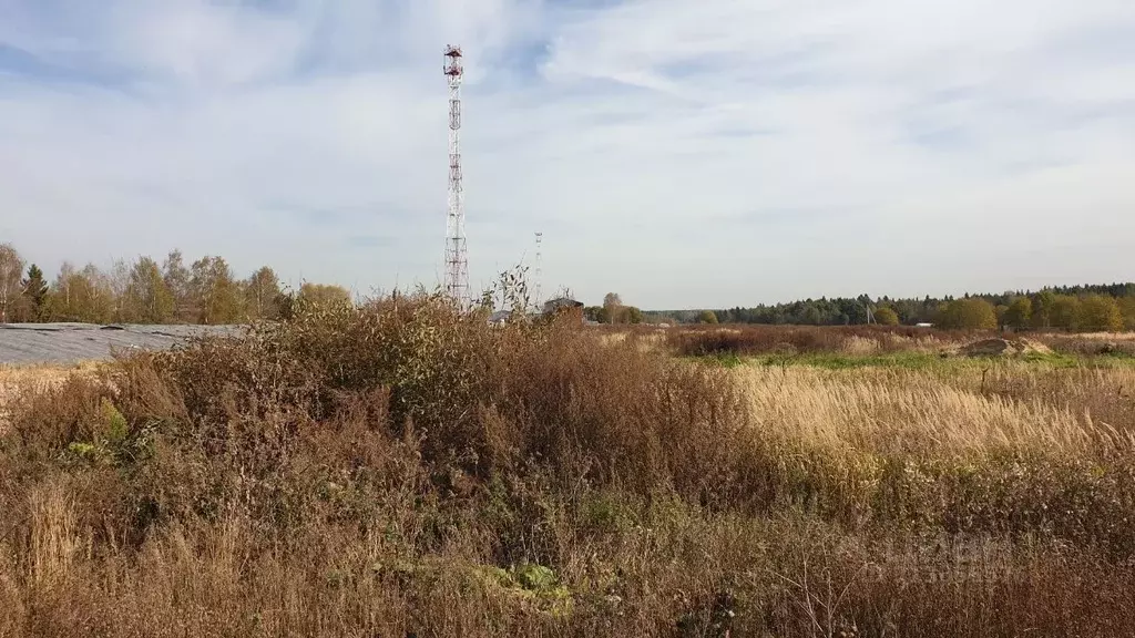 Участок в Московская область, Сергиево-Посадский городской округ, д. ... - Фото 1