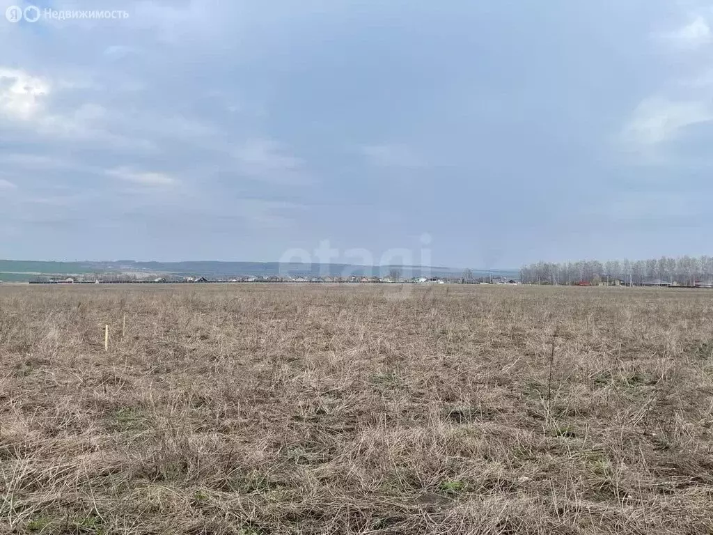 Участок в Лямбирский район, село Берсеневка (6.9 м) - Фото 0
