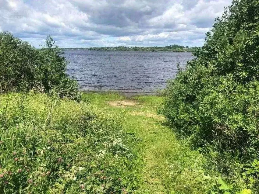 Участок в Новгородская область, Шимский район, Подгощское с/пос, д. ... - Фото 0