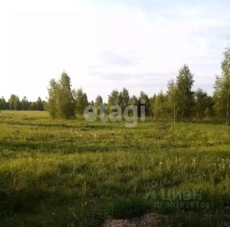 Участок в Костромская область, Нерехта ул. Чайковского (9.0 сот.) - Фото 0