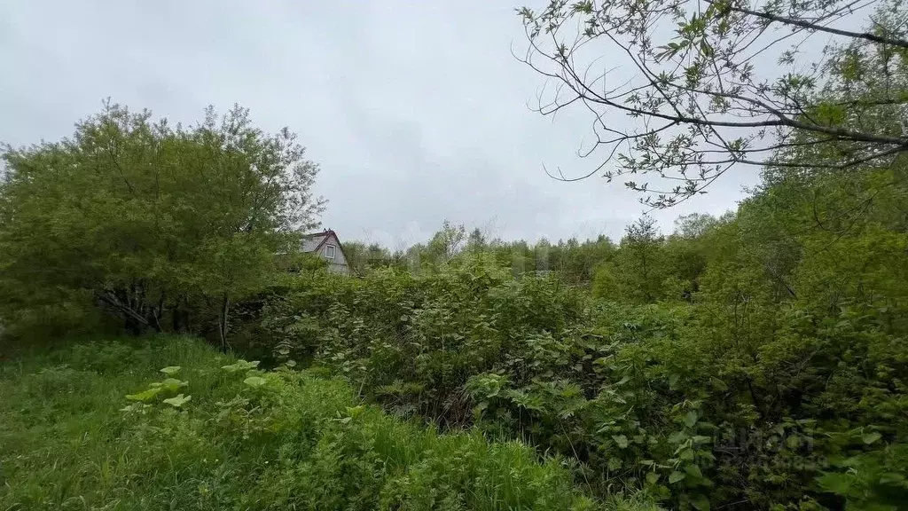 Участок в Сахалинская область, Анивский городской округ, с. Троицкое, ... - Фото 1