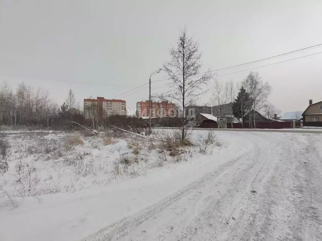 Участок в Московская область, Куровское Орехово-Зуевский городской ... - Фото 1