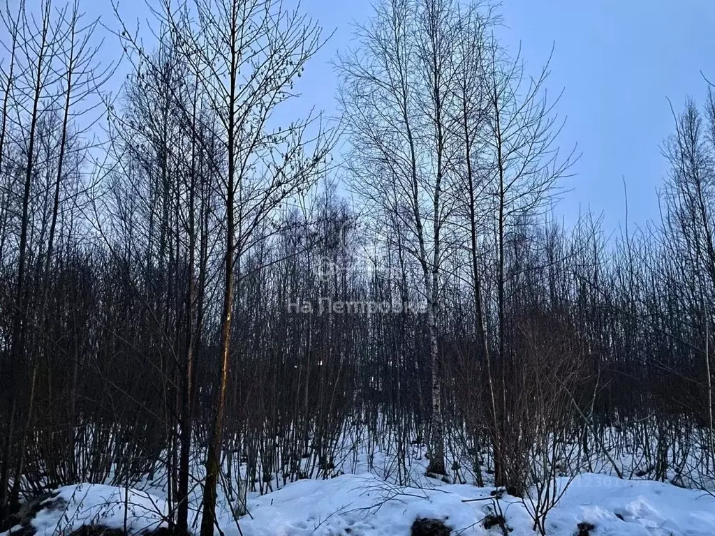 Участок в Московская область, Богородский городской округ, с. Стромынь ... - Фото 0