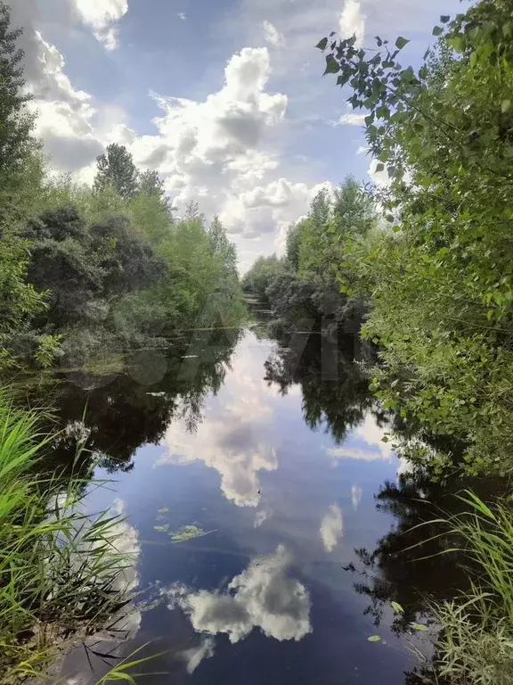 Участок 8,5 сот. (ИЖС) - Фото 0