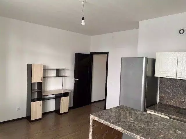 Студия Санкт-Петербург аллея Арцеуловская, 23к1 (25.5 м) - Фото 1