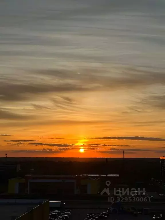 1-к кв. Новгородская область, Великий Новгород Луговая ул., 2 (31.3 м) - Фото 2