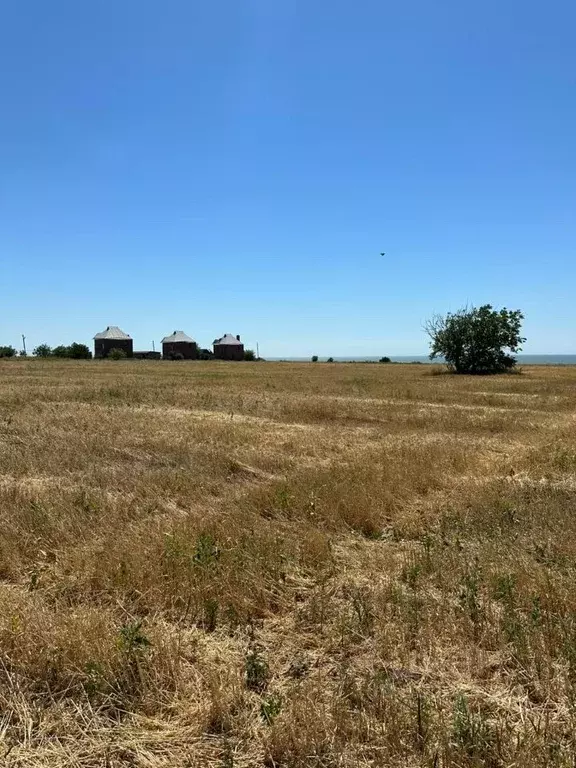 Участок в Ростовская область, Неклиновский район, Платовское с/пос, с. ... - Фото 1