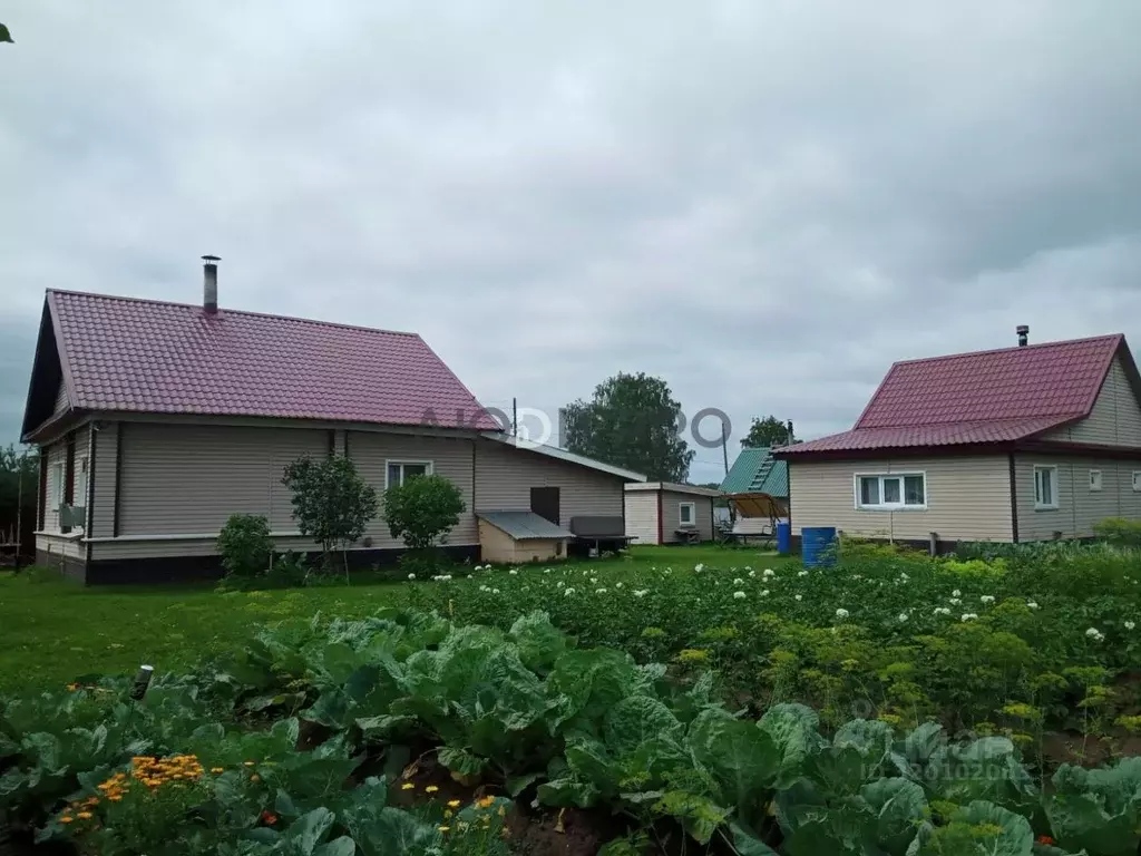 Дом в Кировская область, Оричевский район, с. Коршик Почтовая ул., 16 ... - Фото 1