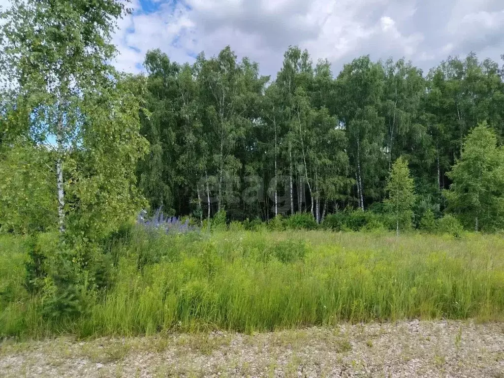 Участок в Тульская область, Алексин городской округ, с. Бунырево  ... - Фото 1