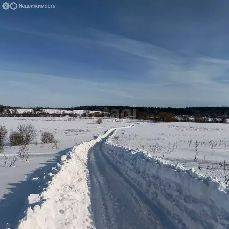 Дом в деревня Тиняково, улица имени Александра Гусева (97 м) - Фото 1