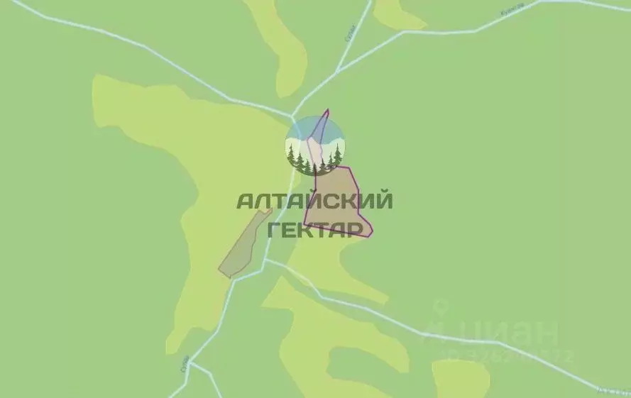 Участок в Алтай, Чемальский район, Элекмонарское с/пос, с. Элекмонар ... - Фото 1