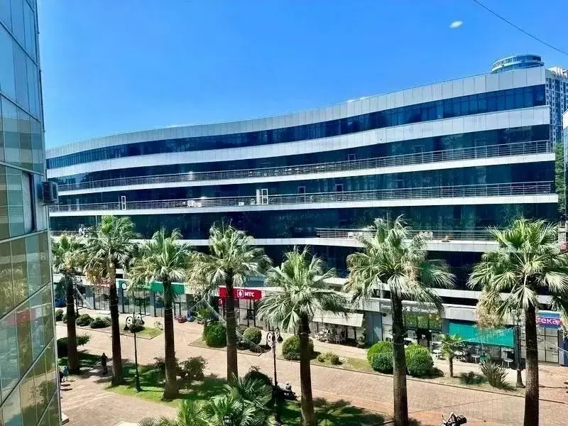 2-к кв. Краснодарский край, Сочи Центральный мкр, ул. Навагинская, 12 ... - Фото 2