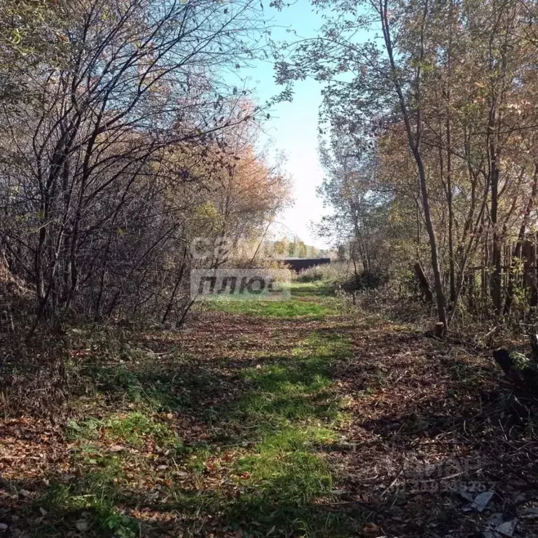 Участок в Свердловская область, Белоярский муниципальный округ, д. ... - Фото 1