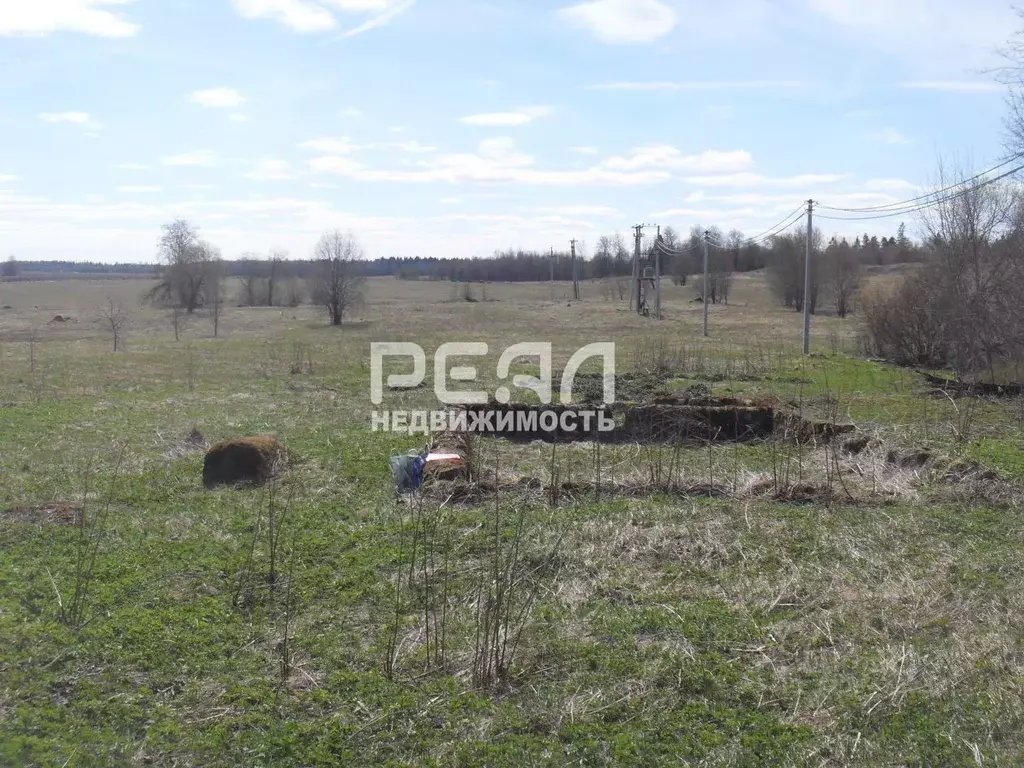 Участок в Ленинградская область, Волосовский район, Большеврудское ... - Фото 1