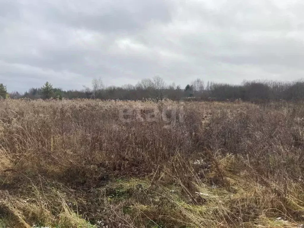 Участок в Костромская область, Костромской район, Бакшеевское с/пос, ... - Фото 1