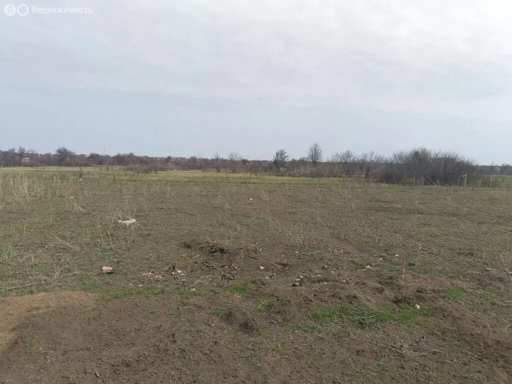 Участок в Ейск, СНТ Виктория (8 м) - Фото 1