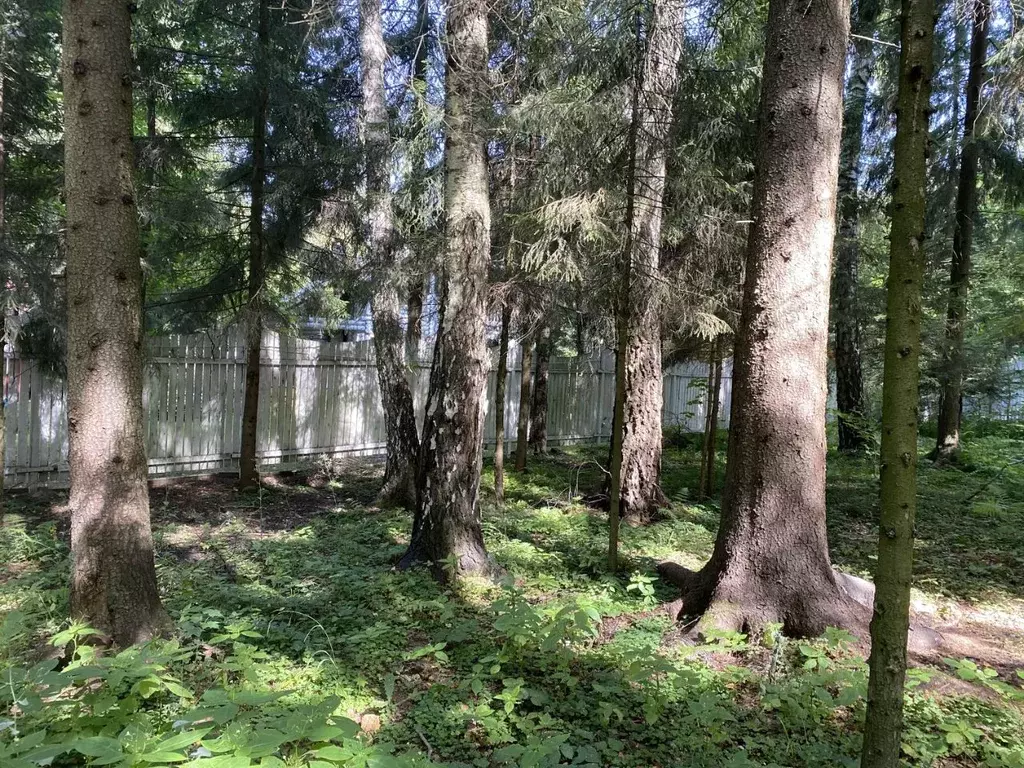 Участок в Московская область, Одинцовский городской округ, пос. НИИ ... - Фото 0