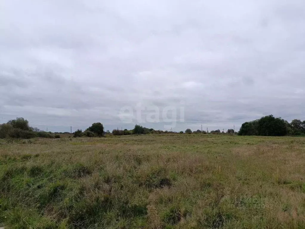 Участок в Калининградская область, Гурьевский муниципальный округ, ... - Фото 1