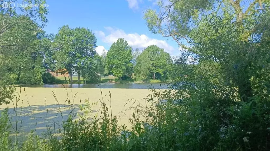 Участок в деревня Меличкино, Цветочная улица (6 м) - Фото 1