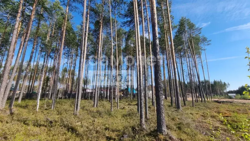 Участок в Коми, Сыктывкар городской округ, Краснозатонский пгт ул. ... - Фото 0