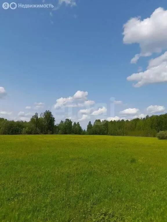 Участок в Республика Коми, муниципальный район Корткеросский, ... - Фото 0