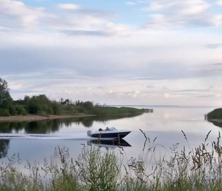 Участок в Ленинградская область, Кировский район, Назиевское городское ... - Фото 1
