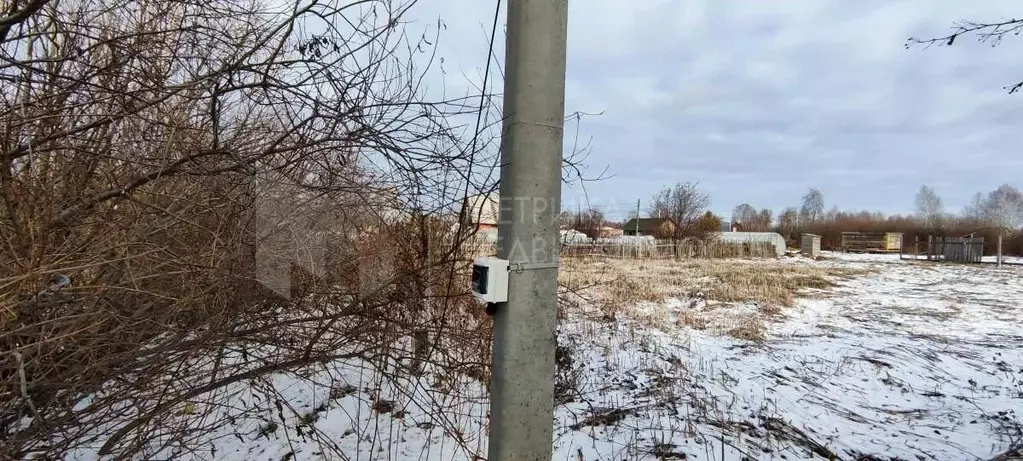 Участок в Тюменская область, Нижнетавдинский муниципальный округ, ... - Фото 1