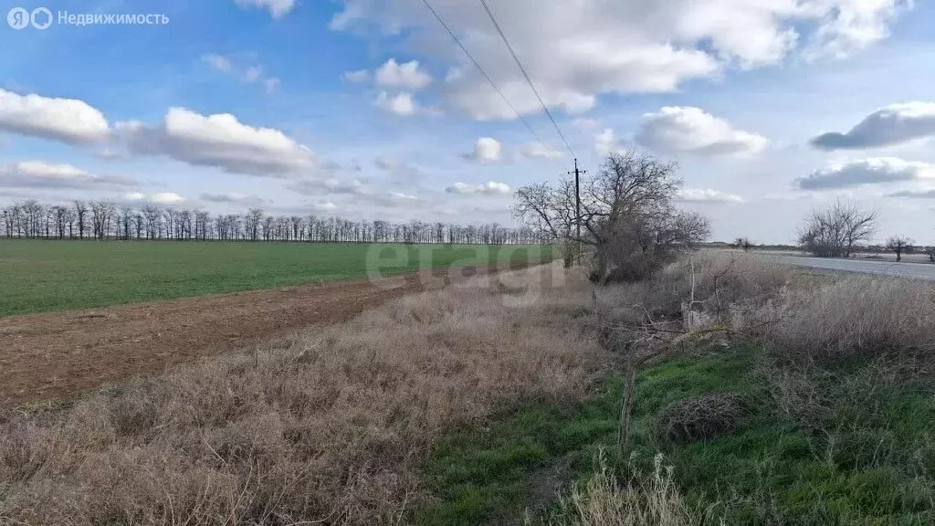 Участок в Сакский район, Ромашкинское сельское поселение, село Колоски ... - Фото 1