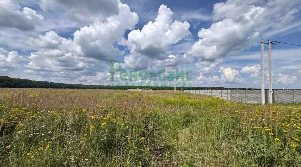 Участок в Брянская область, Карачевский район, Мылинское с/пос, д. ... - Фото 1