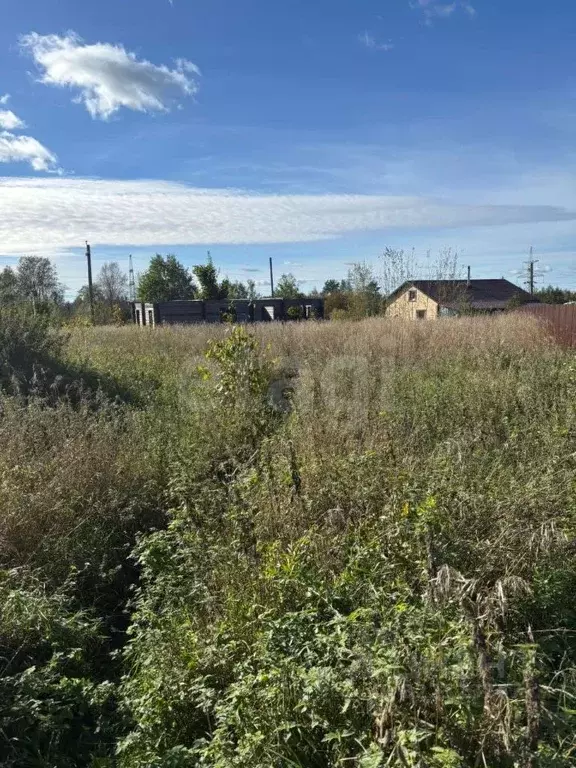 Участок в Ленинградская область, Выборгский район, Первомайское с/пос, ... - Фото 1
