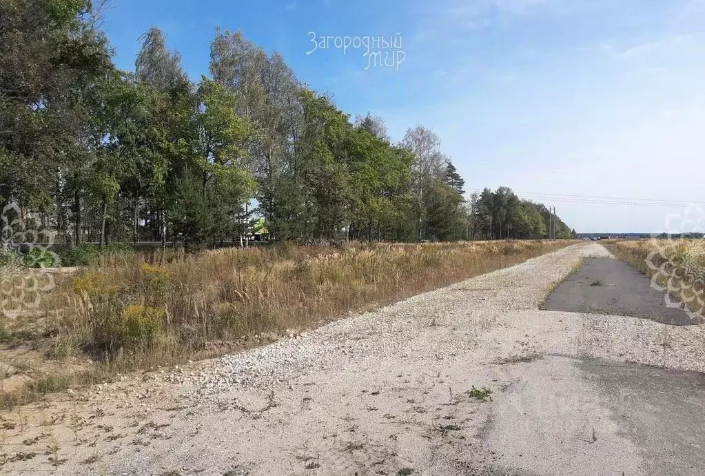 Участок в Владимирская область, Киржачский район, с. Филипповское  ... - Фото 2