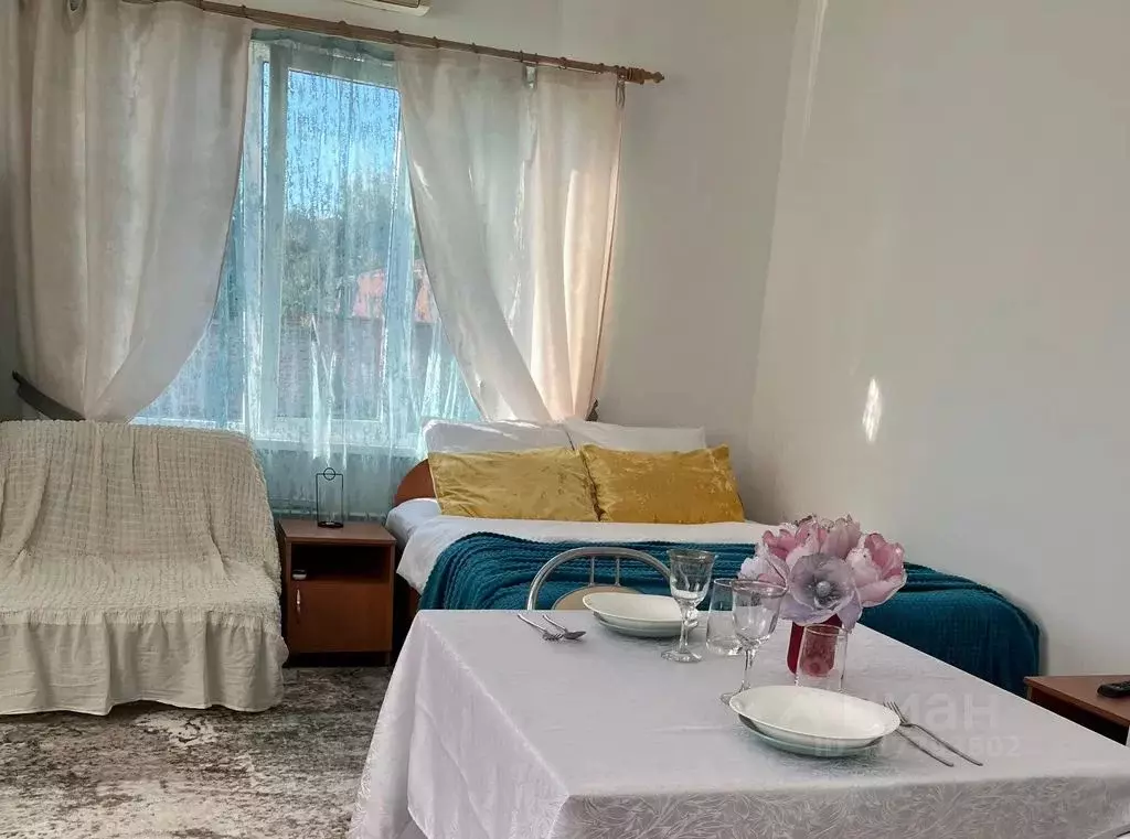 Студия Краснодарский край, Сочи ул. Просвещения, 170/6 (25.0 м) - Фото 0