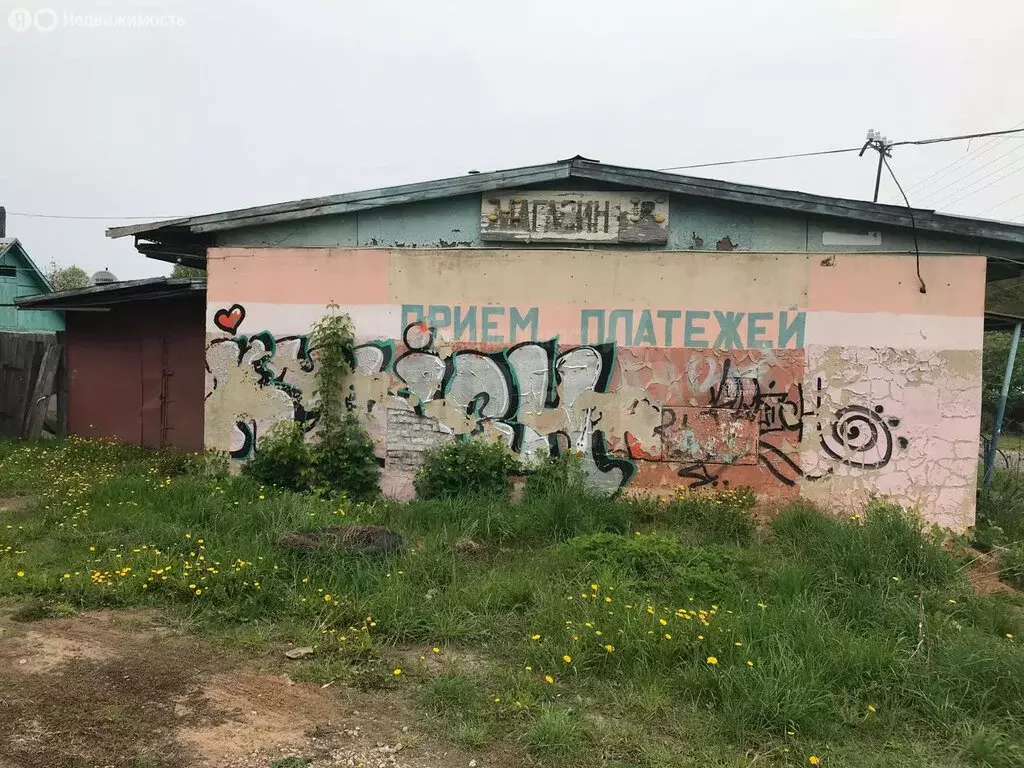 Помещение свободного назначения (120 м) - Фото 1