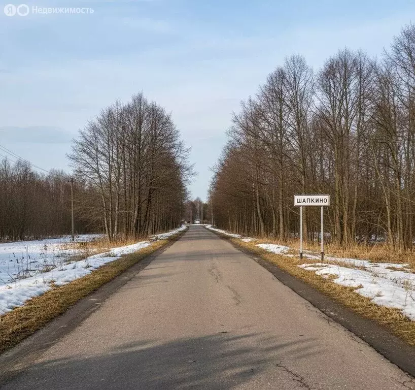 Участок в Московская область, городской округ Коломна, деревня ... - Фото 1