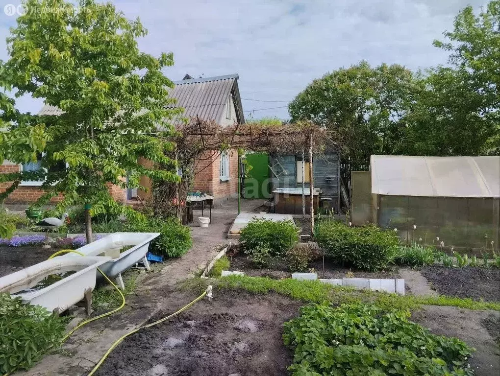 Дом в Воронеж, СНТ Садовод ВАСО, 10-я улица (31.8 м) - Фото 0