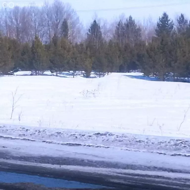 Участок в Тюменская область, Ишимский муниципальный округ, посёлок ... - Фото 1