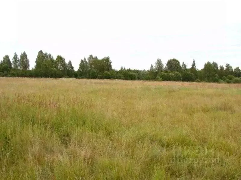 Участок в Тверская область, Конаковский муниципальный округ, д. Старое ... - Фото 1