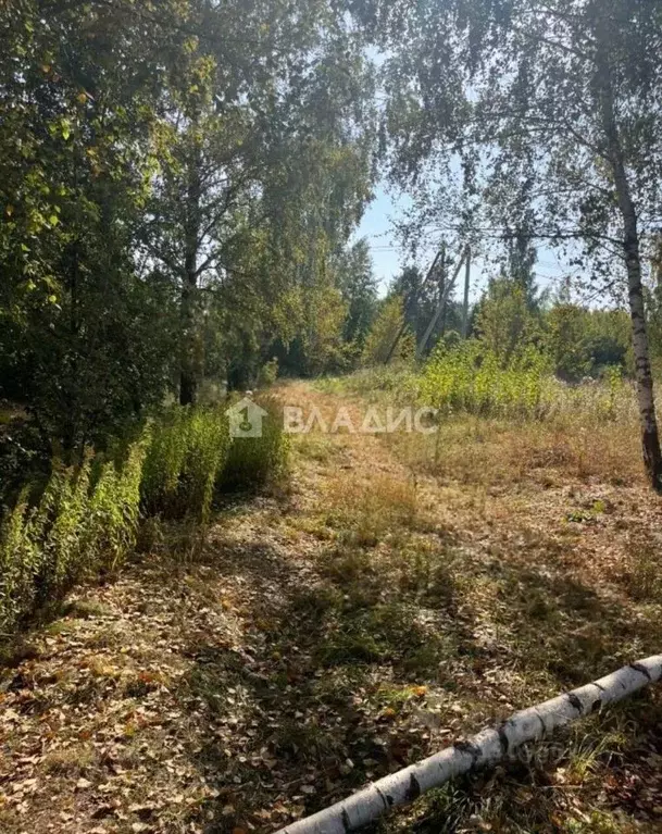 Участок в Московская область, Люберцы городской округ, Красково пгт, ... - Фото 0