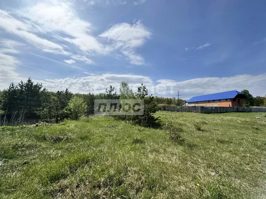 Участок в Ульяновская область, Мелекесский район, Мулловское городское ... - Фото 1