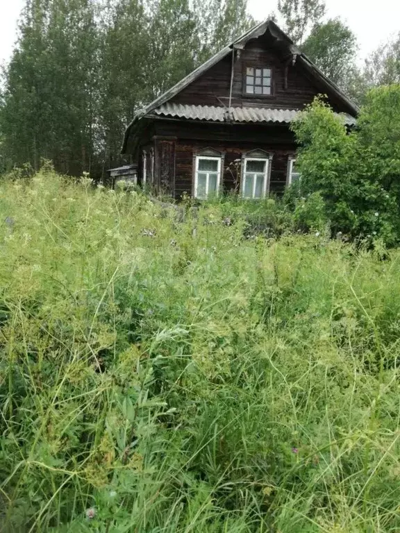 Участок в Тверская область, Кашинский муниципальный округ, д. Коробово ... - Фото 2
