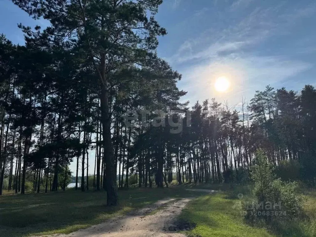 Участок в Брянская область, Брянск пос. Октябрьский, ул. Фадеева (10.0 ... - Фото 1