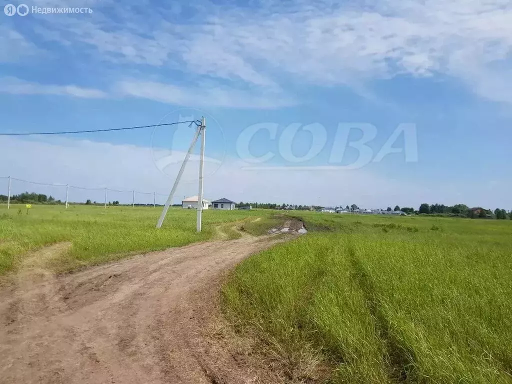 Участок в Тюмень, садовое общество Дубок (8 м) - Фото 1