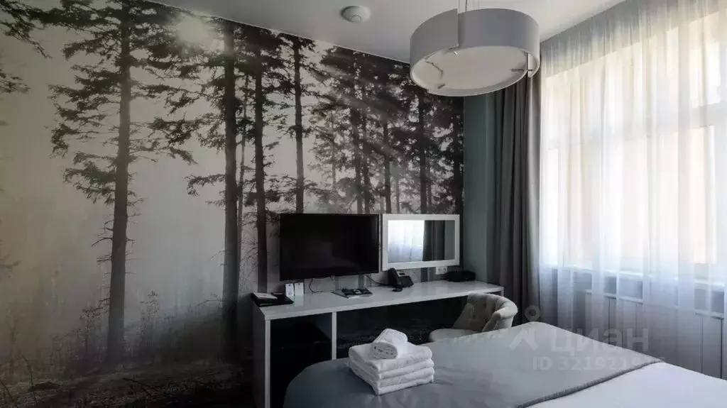 Комната Новосибирская область, Новосибирск Советская ул., 8 - Фото 2