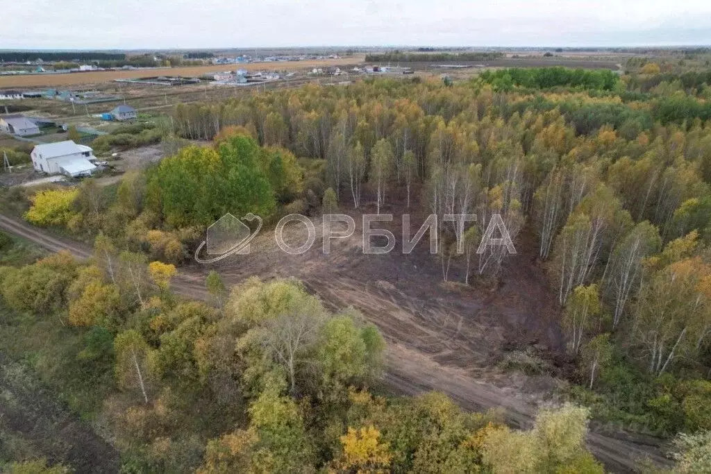 Участок в Тюменская область, Тюменский район, с. Борки  (13.4 сот.) - Фото 0