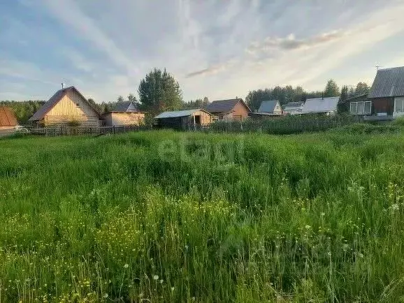 Участок в Коми, Сыктывдинский район, Выльгорт муниципальное ... - Фото 0