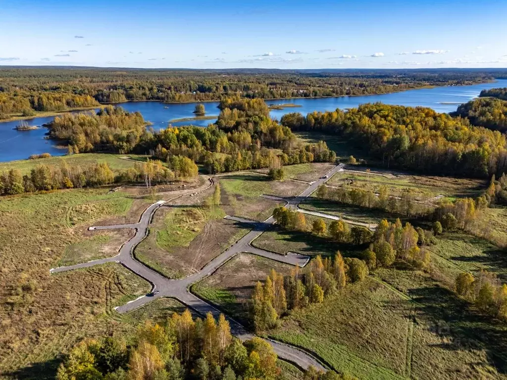 Участок в Ленинградская область, Приозерский район, Ромашкинское ... - Фото 1