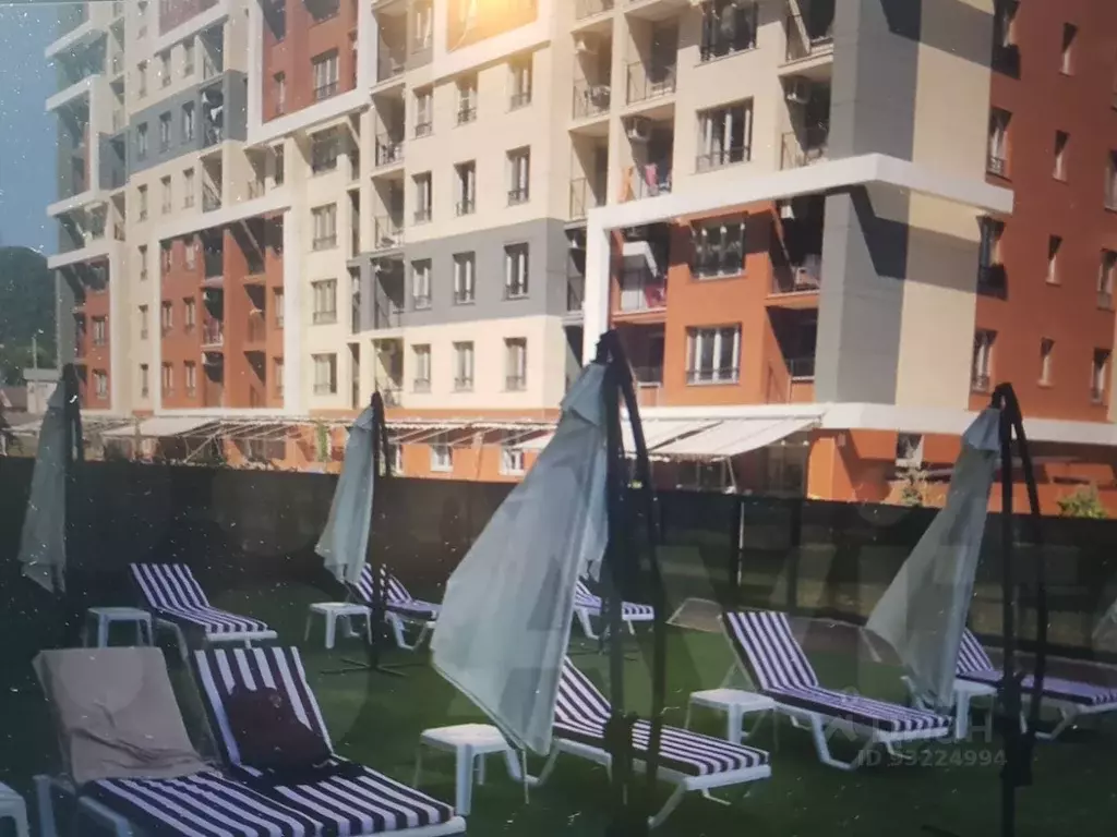 Студия Краснодарский край, Сочи городской округ, Дагомыс пгт ул. ... - Фото 1