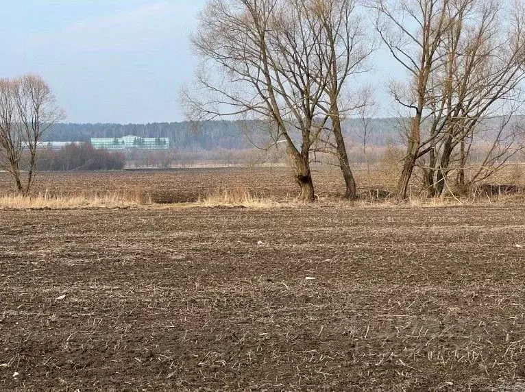 Участок в Московская область, Кашира городской округ, пос. Большое ... - Фото 0